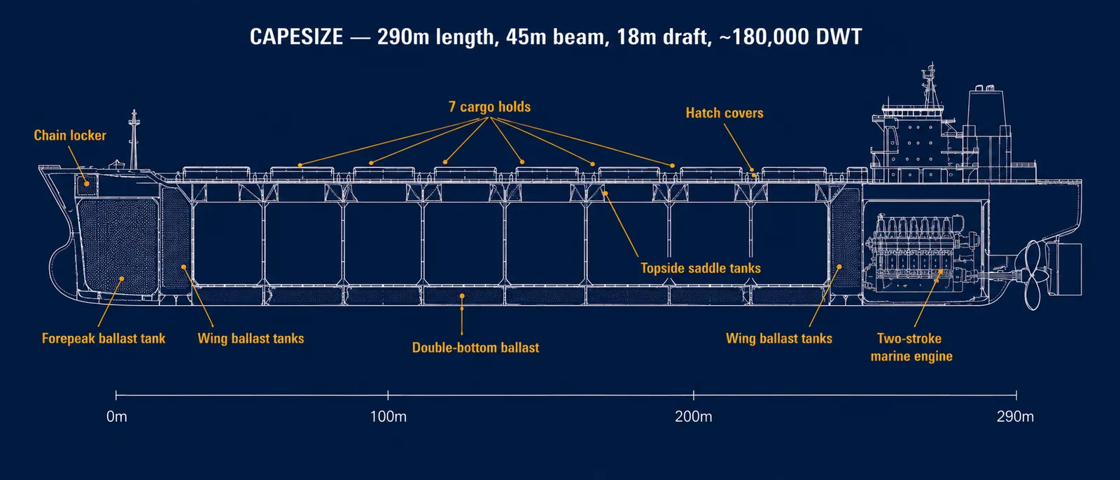 Technical blueprint cross-section of a Capesize bulk carrier showing internal structure — forepeak ballast tank, 7 cargo holds, hatch covers, double-bottom ballast, topside saddle tanks, wing ballast tanks, two-stroke marine engine — with dimensions 290m length, 45m beam, 18m draft, 180,000 DWT