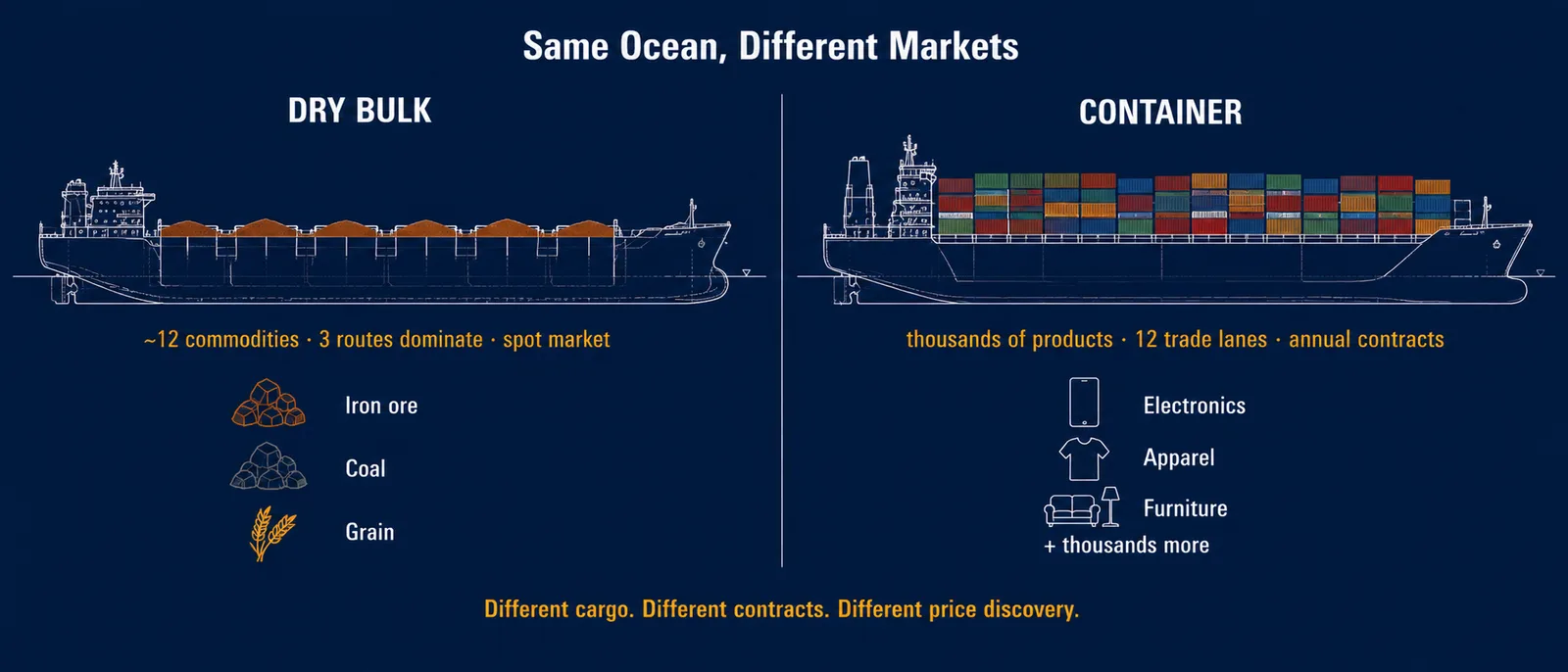 Split visualization comparing dry bulk and container shipping — Capesize bulk carrier with iron ore on left labeled '~12 commodities, 3 routes dominate, spot market', and ultra-large container vessel on right labeled 'thousands of products, 12 trade lanes, annual contracts'