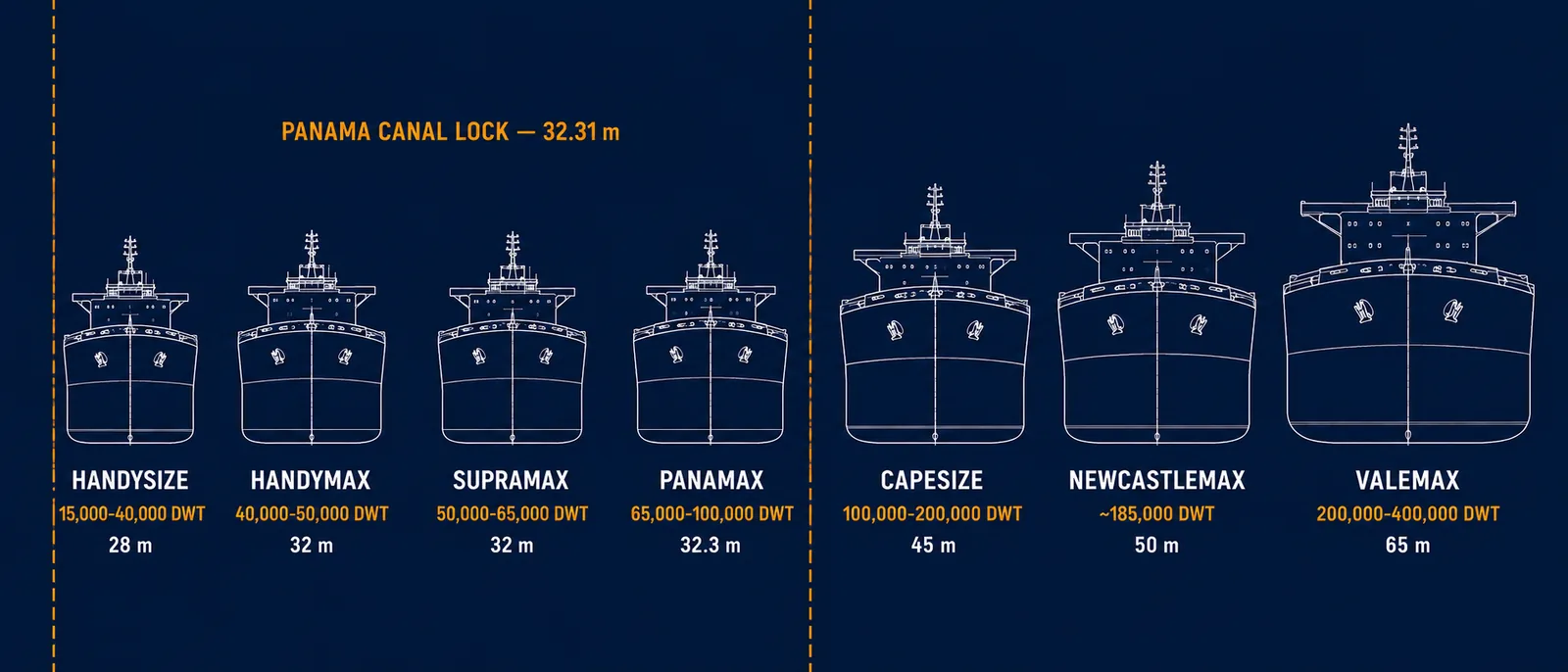 Technical blueprint comparing the beam of seven bulk carrier classes seen bow-on — Handysize 28 m, Handymax 32 m, Supramax 32 m and Panamax 32.3 m all sit inside the 32.31-metre Panama Canal lock limit, while Capesize 45 m, Newcastlemax 50 m and Valemax 65 m exceed it